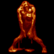 MOTTLED FIGURE