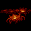 INSECT