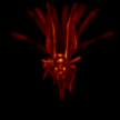 INSECT