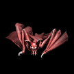 VAMPIRE BAT