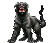 HELLHOUND