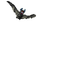BAT