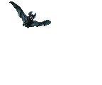 HUGE BAT