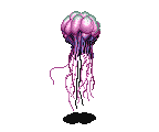 JELLY CLOUD