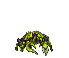 GIANT CRAB