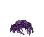 KING CRAB