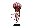 JELLY FISH