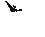 INDIGO BAT