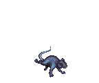 JAIL RAT